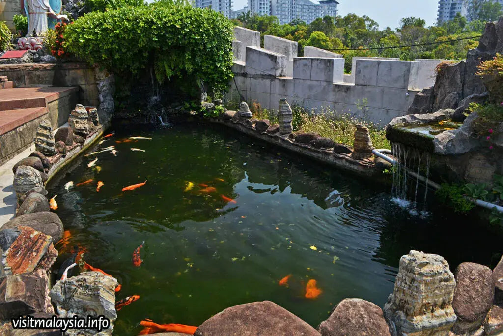 Fibreglass Pond Kits with Black Topcoat Free delivery Apex