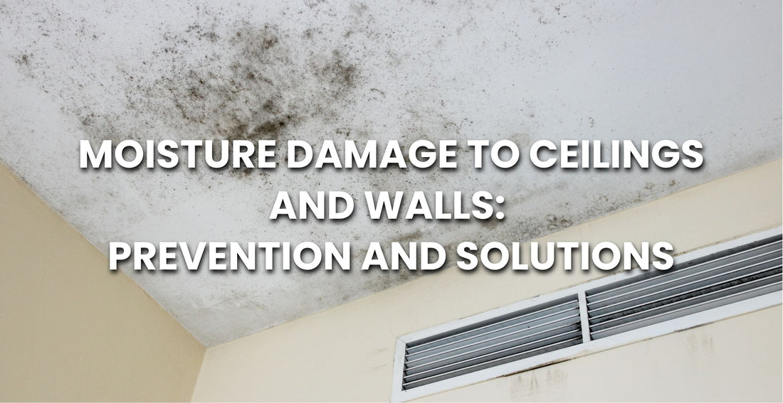 Moisture Damage to Ceilings and Walls: Prevention and Solutions - Apex