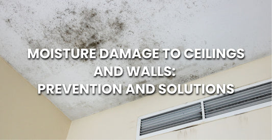 Moisture Damage to Ceilings and Walls: Prevention and Solutions - Apex