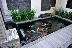 Apex Fiberglass Pond Kits - Double Layer 450g Matting in 4 Stunning Colors for Long-Lasting Beauty